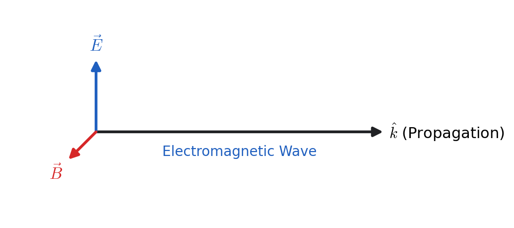 An electromagnetic wave: E and B oscillate perpendicular to each other and to the direction of travel.