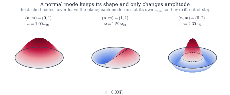 Three normal modes as surfaces, each oscillating at its own frequency: (0,1) at 01, (1,1) at 1.59\,01 and (0,2) at 2.30\,01. The membrane rises and falls, but the shape is fixed: the dashed nodal lines never leave the plane, and every point of the membrane passes through zero at the same instant. After one period of the fundamental the left surface has returned to where it began and the other two have not.